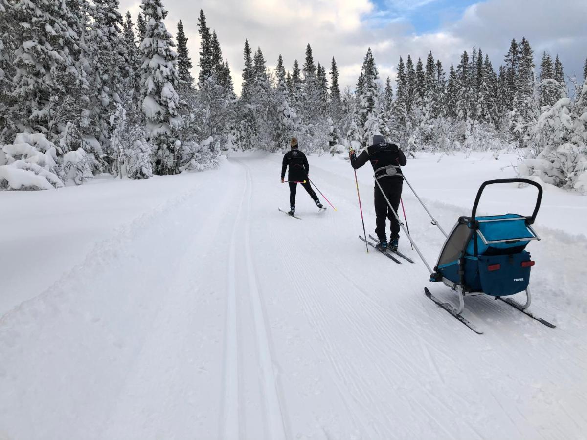 Karolinen & Laegenheter Åre